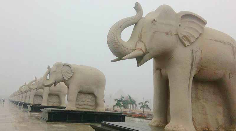 Statues elephants and mayawati not be capped up elections