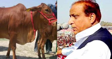azam khan on cow