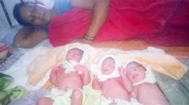 mother gives birth to three baby